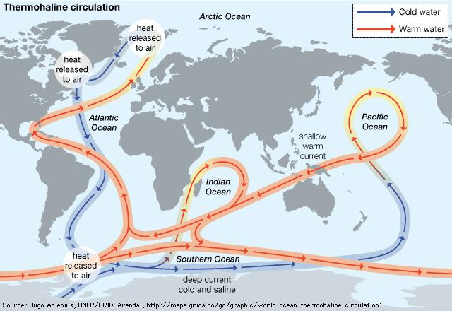 circulacion termohalina