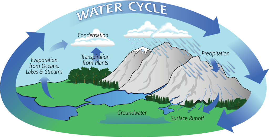 Agua - Ciclo