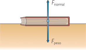 Segunda Ley de Newton 